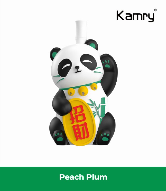 Kamry Panda 8000 Puffs Disposable Vape 9