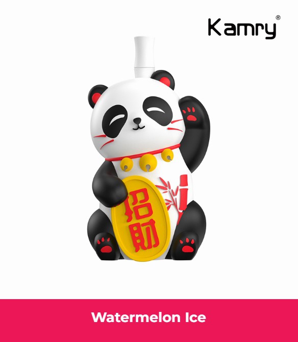 Kamry Panda 8000 Puffs Disposable Vape 10