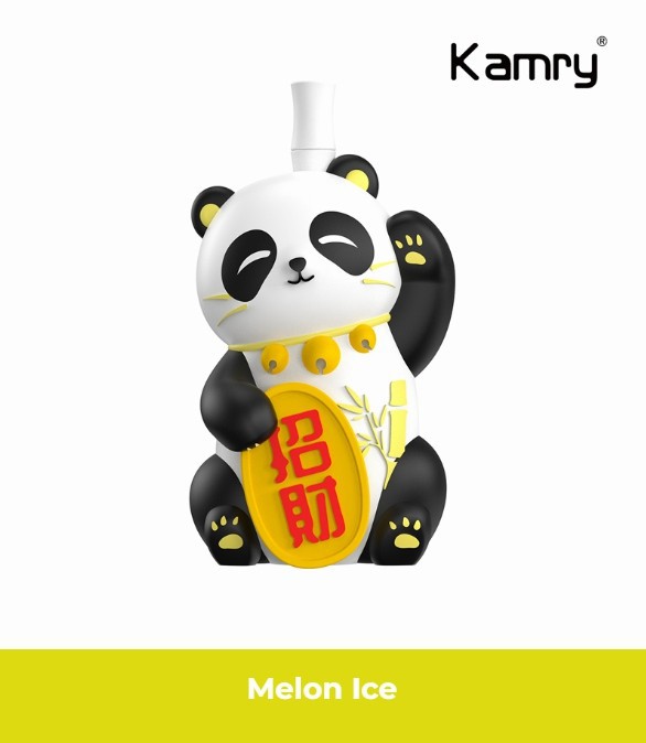 Kamry Panda 8000 Puffs Disposable Vape 6