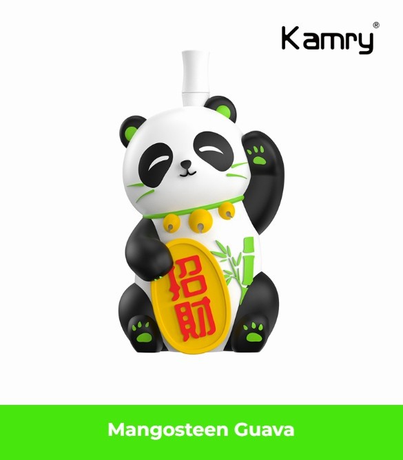 Kamry Panda 8000 Puffs Disposable Vape 7