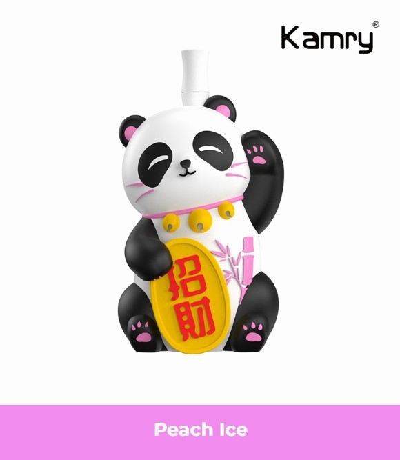 Kamry Panda 8000 Puffs Disposable Vape 8